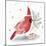 Red Cardinal I-PI Studio-Mounted Art Print
