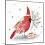 Red Cardinal I-PI Studio-Mounted Art Print