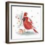 Red Cardinal II-PI Studio-Framed Art Print