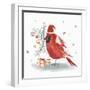 Red Cardinal II-PI Studio-Framed Art Print