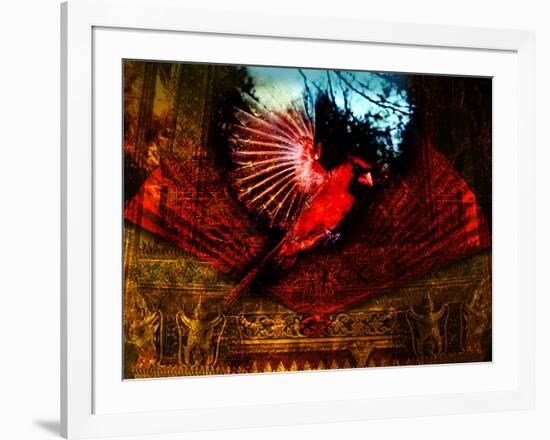 Red Cardinal Thai Temp-Daniel Stanford-Framed Art Print