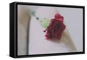 Red Carnation-Carolina Hernandez-Framed Stretched Canvas