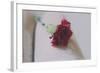 Red Carnation-Carolina Hernandez-Framed Photographic Print