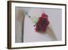 Red Carnation-Carolina Hernandez-Framed Photographic Print