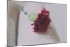 Red Carnation-Carolina Hernandez-Mounted Photographic Print