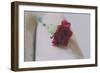 Red Carnation-Carolina Hernandez-Framed Photographic Print