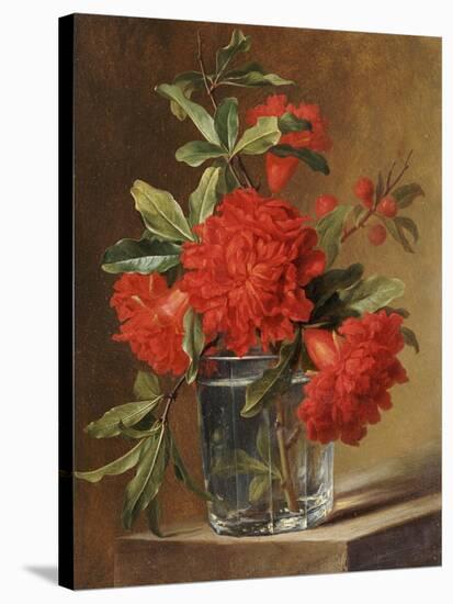 Red Carnations and a Sprig of Berries in a Glass on a Ledge-Gerard Van Spaendonck-Stretched Canvas