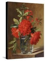 Red Carnations and a Sprig of Berries in a Glass on a Ledge-Gerard Van Spaendonck-Stretched Canvas