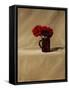 Red Carnations-James Gillick-Framed Stretched Canvas