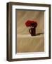 Red Carnations-James Gillick-Framed Giclee Print