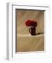 Red Carnations-James Gillick-Framed Giclee Print