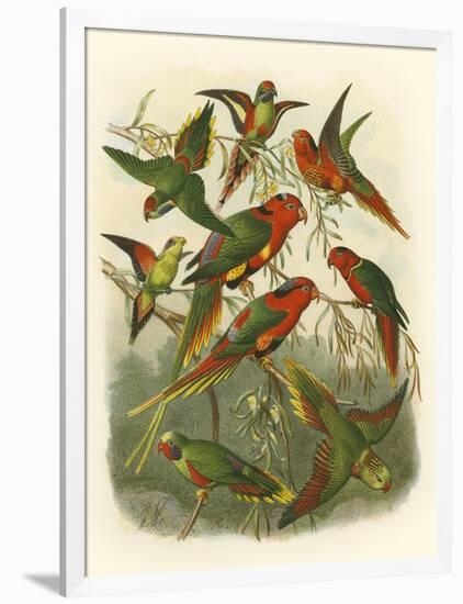 Red Cassel Birds I-Cassell-Framed Art Print