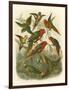 Red Cassel Birds I-Cassell-Framed Art Print