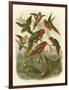 Red Cassel Birds I-Cassell-Framed Art Print