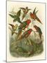 Red Cassel Birds I-Cassell-Mounted Art Print