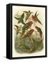 Red Cassel Birds I-Cassell-Framed Stretched Canvas