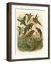 Red Cassel Birds I-Cassell-Framed Art Print