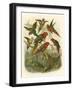 Red Cassel Birds I-Cassell-Framed Art Print