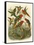 Red Cassel Birds I-Cassell-Framed Stretched Canvas