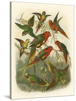 Red Cassel Birds I-Cassell-Stretched Canvas