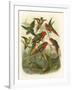 Red Cassel Birds I-Cassell-Framed Art Print