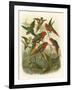 Red Cassel Birds I-Cassell-Framed Art Print
