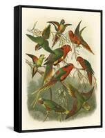 Red Cassel Birds I-Cassell-Framed Stretched Canvas