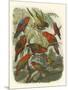 Red Cassel Birds II-Cassell-Mounted Art Print