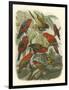 Red Cassel Birds II-Cassell-Framed Art Print