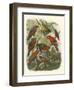 Red Cassel Birds II-Cassell-Framed Art Print