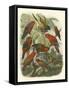 Red Cassel Birds II-Cassell-Framed Stretched Canvas