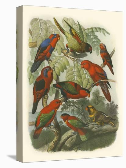 Red Cassel Birds II-Cassell-Stretched Canvas