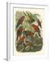 Red Cassel Birds II-Cassell-Framed Art Print