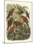 Red Cassel Birds II-Cassell-Mounted Art Print