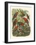 Red Cassel Birds II-Cassell-Framed Art Print