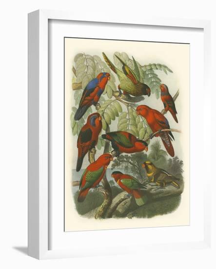 Red Cassel Birds II-Cassell-Framed Art Print