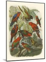 Red Cassel Birds II-Cassell-Mounted Art Print