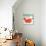Red Cat, 1994-David Khaikin-Giclee Print displayed on a wall