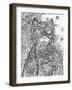 Red Cat Line Art-Oxana Zaika-Framed Giclee Print