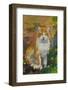 Red Cat Painting Gouache.-Anna Pismenskova-Framed Photographic Print