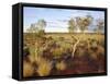 Red Centre Landscape Near Uluru, Yulara, Northern Territory, Australia-Ken Gillham-Framed Stretched Canvas