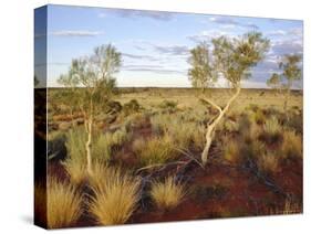 Red Centre Landscape Near Uluru, Yulara, Northern Territory, Australia-Ken Gillham-Stretched Canvas