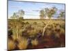 Red Centre Landscape Near Uluru, Yulara, Northern Territory, Australia-Ken Gillham-Mounted Photographic Print