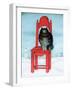 Red Chair, 1995-David Khaikin-Framed Giclee Print