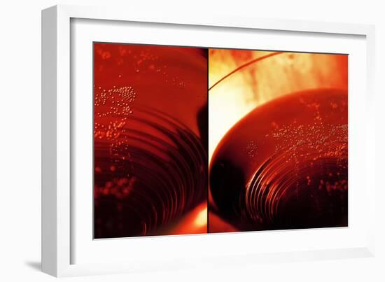 Red Champagne-Sebastien Lory-Framed Photographic Print