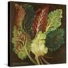 Red Chard-Suzanne Etienne-Stretched Canvas