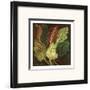 Red Chard-Suzanne Etienne-Framed Art Print