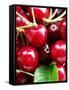 Red Cherries (Close-Up)-Foodcollection-Framed Stretched Canvas