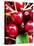 Red Cherries (Close-Up)-Foodcollection-Stretched Canvas