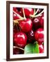 Red Cherries (Close-Up)-Foodcollection-Framed Photographic Print